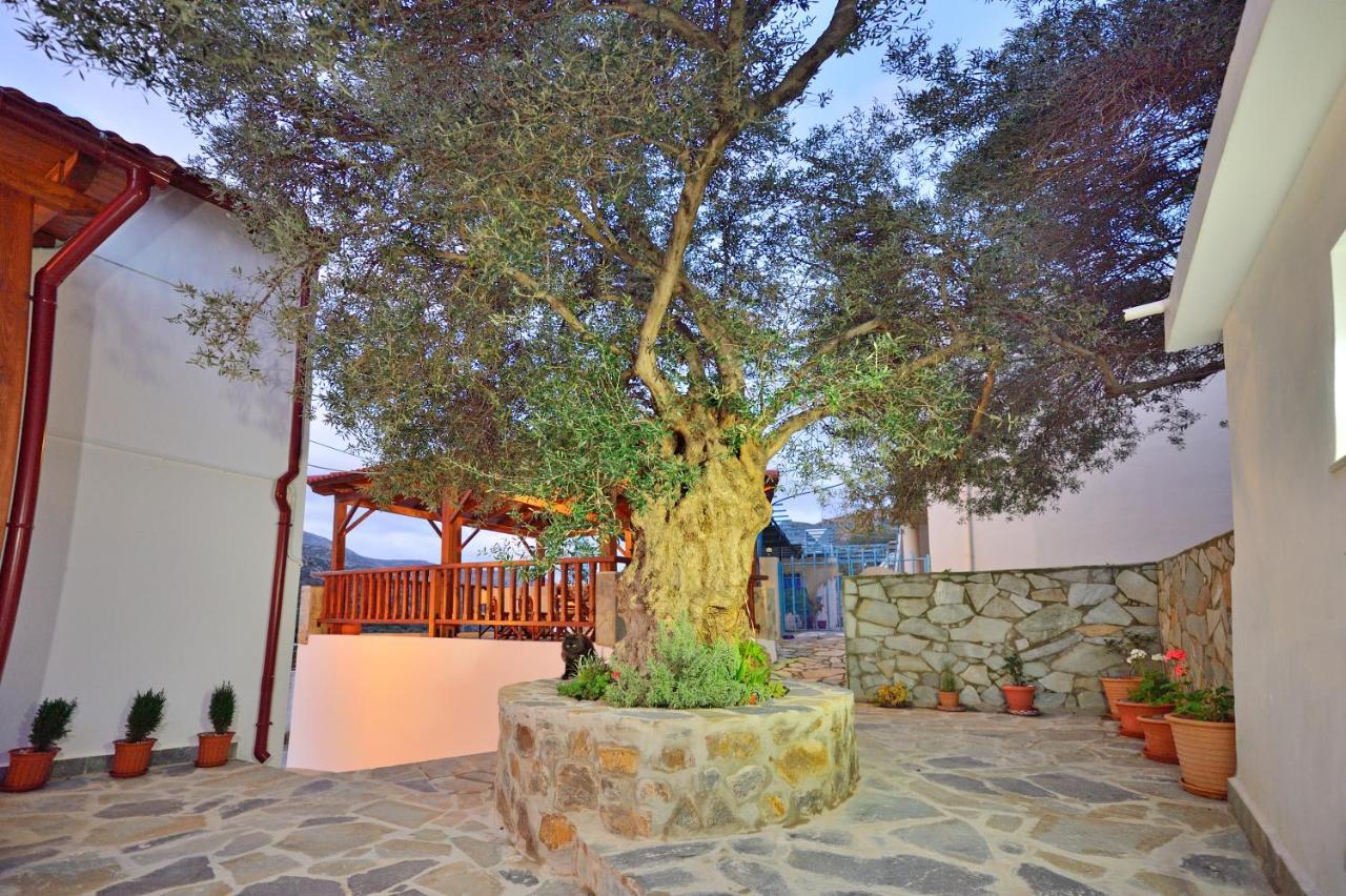 Plokamianá Plokamos Houseヴィラ エクステリア 写真